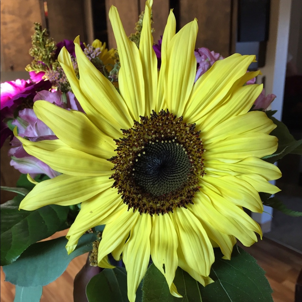 Meet your Posher, Vicky